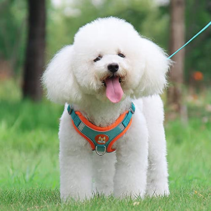 Pet Harness for Small Medium Dogs Cats No Pull Soft Mesh Reflective Padded with Dual Leash Clips - color: Blue, size: M