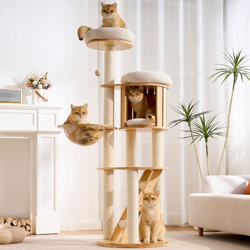 HITTITE Solid Wood Cat Tree Tower with Scratching Post, 61 Inches Tall Cat Towers with Capsule and Condo, Modern Cat Tower with Climbing Ladder and Removable Top Bed for Indoor Cats. - color: Nature, size: 61in