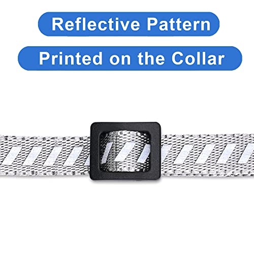 Pawtitas Personalized Cat Collar with Breakaway Safety Release Buckle Adjustable Length | Cat Collar with Custom Embroidered for Your Pet's Name and Phone Number | Grey Cat Collar with Removable Bell - color: Personalized Grey