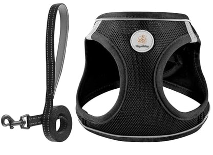 Dog Harness and Leash Set, No Pull Soft Mesh Puppy Harness for Small Medium Dogs, Cats - Step in Adjustable Reflective Pet Harness with Buckle and Double D-Rings - Black, XS - color: Black, size: XS (Chest: 12.5"-14")