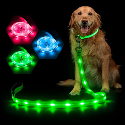 Weesiber Glowing Light Up LED Dog Leash - 4ft USB Rechargeable Flashing Nylon Leash for Small Medium Large Dogs, 3 Flash Modes (Green) - color: Green