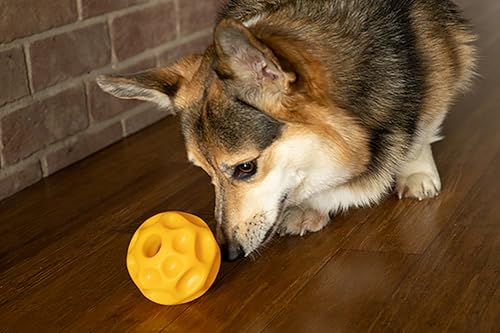 Starmark Treat Dispensing Tetraflex Dog Toy Small - size: Small