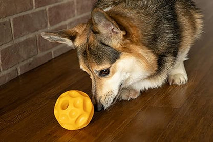 Starmark Treat Dispensing Tetraflex Dog Toy Large - size: Large