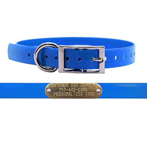3/4" Waterproof D-Ring Dog Collar Adjustable Fit for Small & Medium Breeds | Custom 3/4" Brass Nameplate – Durable, Odor-Resistant, USA-Made (18", Light Blue) - color: Light Blue, size: 18" Long