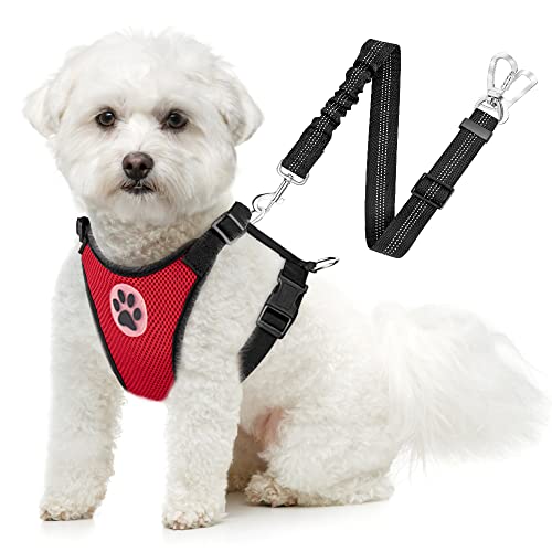 SlowTon Dog Seat Belt Harness for Car, Dog Car Harness Adjustable Mesh Breathable & Dog Seatbelt Safety Tether with Elastic Bungee for Small Medium Large Pets(Red, Double Clip, XS) - color: B-Red, size: X-Small