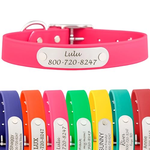 dogIDs Personalized Dog Collar – Custom Waterproof Soft-Grip Biothane with Laser-Engraved Nameplate, Durable & Odor-Resistant, USA Made | Pink, 1 in x 16 in (Fits Necks Size 14-18 in) - color: Pink, size: 1 in x 16 in (Fits Necks Size 14-18 in)