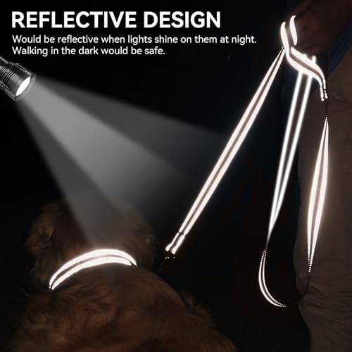 Joytale Double-Sided Reflective Dog Leash, 4 FT, Padded Handle Nylon Heavy Duty Leashes for Small & Medium Dogs Walking, Brown - color: Brown, size: 4 ft Narrow