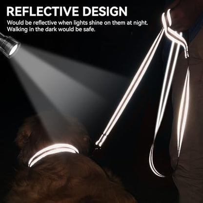 Joytale Double-Sided Reflective Dog Leash, 4 FT, Padded Handle Nylon Heavy Duty Leashes for Medium & Large Dogs Walking, Brown - color: Brown, size: 4 ft Standard