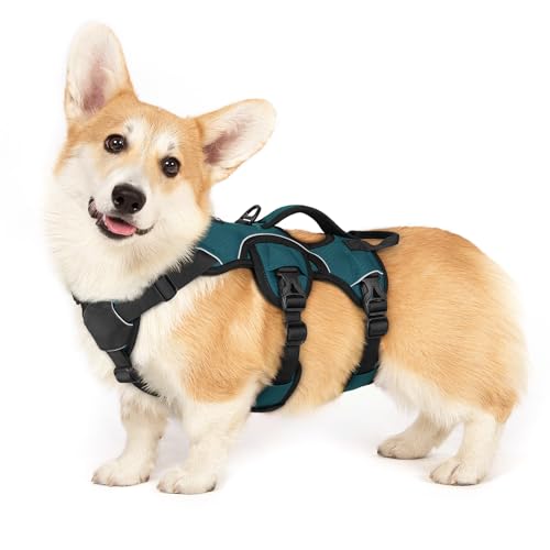 rabbitgoo Escape Proof Dog Harness Small Sized Dog, Soft Padded Full Body Pet Harness, Reflective Adjustable Vest with Lift Handle and Leash Clip for Walking Hiking Training, Dark Green, S - color: Dark Green, size: Small (Pack of 1)