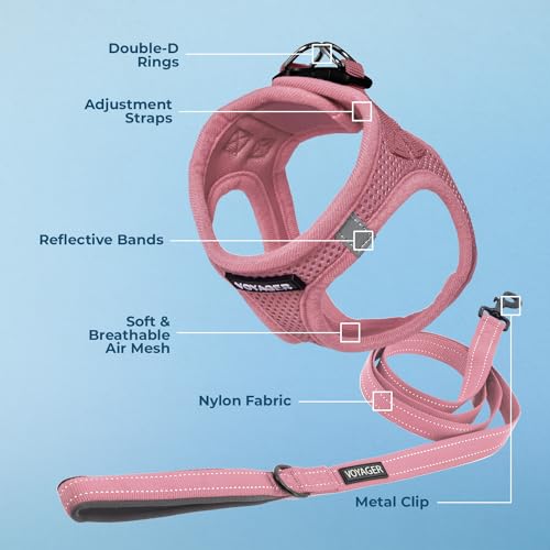 Best Pet Supplies Voyager Step-in Air All Weather Mesh Harness and Reflective Dog 5ft Leash Combo with Neoprene Handle, for Small, Medium and Large Breed Puppies - Set (Pink), XX-Small - color: Harness Leash Set (Pink), size: XXS (Chest: 11.5 - 13")