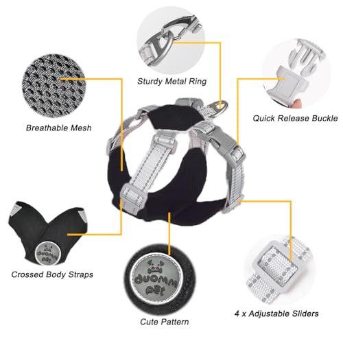 Dog Harness Pet X Frame No Pull Step-in Harnesses with Leash Set, Adjustable Reflective Choke Free Puppy with Padded Vest for Small, Medium Dogs and Cats Walking Training - color: Black, size: Small