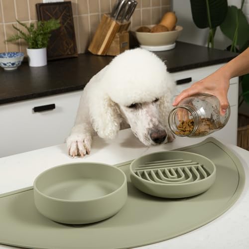 Should We Go? Slow Feeder for Dogs & Puppies, The Slowdown Bowl Silicone Slow Eating, Modern Lick Mat Design, Reduces Gulping, Fits 2 Cups, 7.5” Across x 1.5” Tall, Mealtime Challenge, Medium-Sage - color: Sage - Rainbow Design, size: Medium (7.5” Across