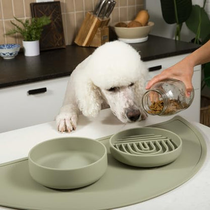 Should We Go? Slow Feeder for Dogs & Puppies, The Slowdown Bowl Silicone Slow Eating, Modern Lick Mat Design, Reduces Gulping, Fits 2 Cups, 7.5” Across x 1.5” Tall, Mealtime Challenge, Medium-Sage - color: Sage - Rainbow Design, size: Medium (7.5” Across