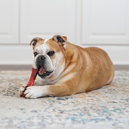 Nylabone Textured Bone Power Chew Toy for Dogs, Durable & Tough Dog Toys for Aggressive Chewers, Beef Jerky Flavor, X-Large Dogs - Over 50 Ibs, 1 Count - size: X-Large