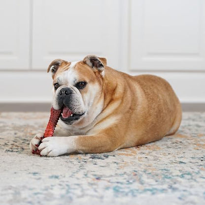 Nylabone Textured Bone Power Chew Toy for Dogs, Durable & Tough Dog Toys for Aggressive Chewers, Beef Jerky Flavor, X-Large Dogs - Over 50 Ibs, 1 Count - size: X-Large