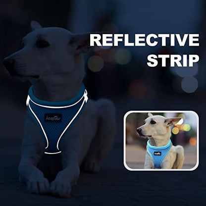 haapaw Dog Harness with Leash Set, No Pull Adjustable Reflective Step-in Puppy Harness with Thickened Padded Vest for Extra-Small/Small Medium Dogs - color: Grey / Blue, size: S