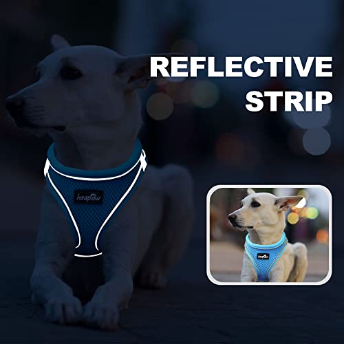 haapaw Dog Harness with Leash Set, No Pull Adjustable Reflective Step-in Puppy Harness with Thickened Padded Vest for Extra-Small/Small Medium Dogs - color: Grey / Blue, size: M