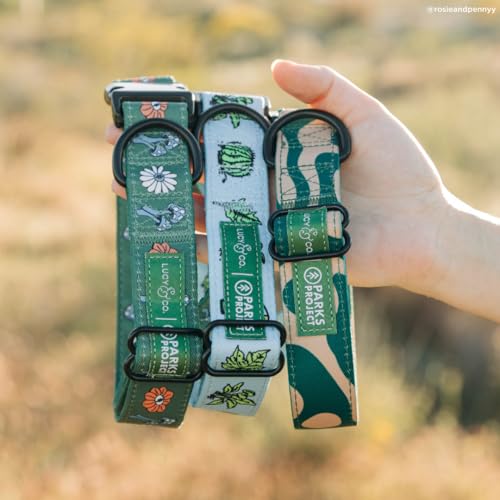 Lucy & Co. x Parks Project Geyser Dog Collar, Adjustable Durable Dog Collar with Cute Print, Small - color: Geyser, size: Small