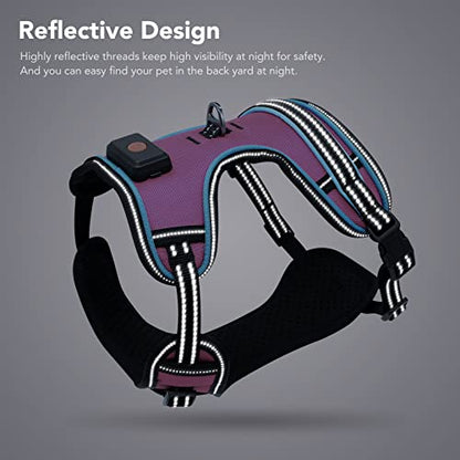 Safety LED Dog Harness - Light Up Dog Vest, No-Pull Dog Harness - Rechargeable Glowing Pet Harness for Night Walking & Camping (Pink+Blue Light, Medium) - color: Pink+Blue Light, size: Medium