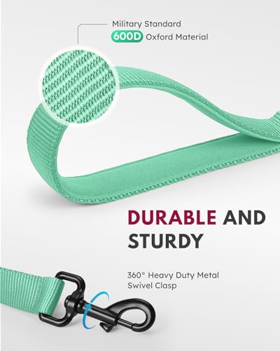 Dog Leash 6FT - Heavy Duty Dog Leash with Traffic Padded Double Handles - Safety Control Traning Leash for Large Medium Dogs - color: Green