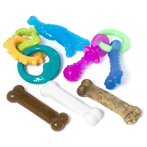 Nylabone New Puppy Starter Kit, 5 Chew Toys and 1 Natural Treat for Puppies, Multi Color, Bacon & Chicken Flavor, Small Dogs - Up to 25 lbs., 6 Pack - color: Bundle