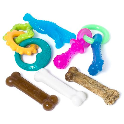 Nylabone New Puppy Starter Kit, 5 Chew Toys and 1 Natural Treat for Puppies, Multi Color, Bacon & Chicken Flavor, Small Dogs - Up to 25 lbs., 6 Pack - color: Bundle