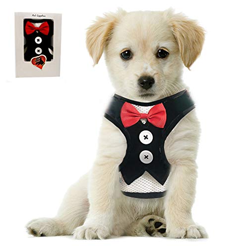 Bark Lover Small Puppy Harness with Bowtie, Adjustable Dog Vest Mesh Tuxedo Harness for Small Dog Kitten, Perfect for Party Wedding Holiday (S, Black Velvet) - color: Black Velvet, size: S