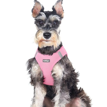 rabbitgoo Small Dog Harness, Step-in Soft Mesh Puppy Vest with Safety Buckle, Breathable Reflective Pet Harness for Large Dogs, Light Pink XXL - color: Light Pink, size: Xxl(chest:21.6"-23.7")