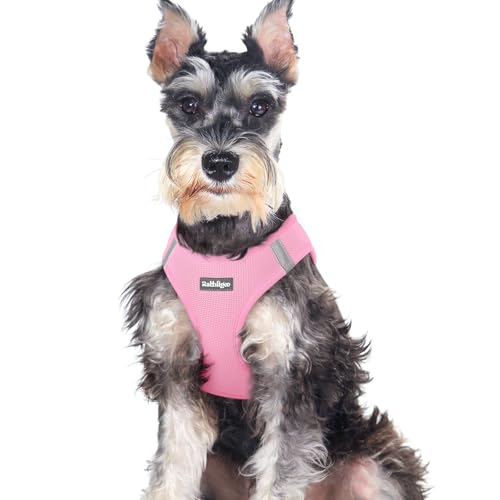 rabbitgoo Small Dog Harness, Step-in Soft Mesh Puppy Vest with Safety Buckle, Breathable Reflective Pet Harness for Large Dogs, Light Pink XXL - color: Light Pink, size: Xxl(chest:21.6"-23.7")