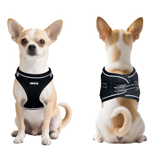 Dog Harness and Leash Set, No Pull Soft Mesh Pet Harness -in Puppy Pet Vest Harnesses for XS,Small,Medium Dogs and Cats Black-XS - color: Black, size: XS (Chest: 12.5-14")