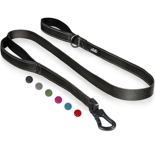 TwoEar 4FT 1IN Strong Black Dog Leash with 2 Padded Handles, Traffic Handle Extra Control, Comfortable Soft Dual Handle, Auto Lock Hook, Reflective Walking Lead for Small Medium and Large Dogs - color: Black, size: 1 in x 4 ft