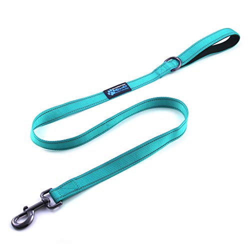Max and Neo Small Dog Leash - Reflective Nylon, Donates to Dog Rescue (Teal, 4x5/8) - color: TEAL, size: 4 FT x 5/8" Wide