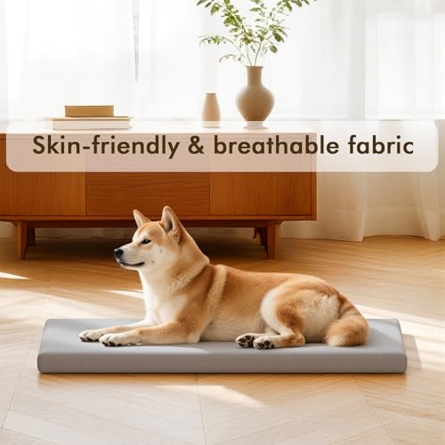 Orthopedic Dog Bed for Small Dogs,Couch Pet Bed Removable Washable Cover,Grey (M) - size: M