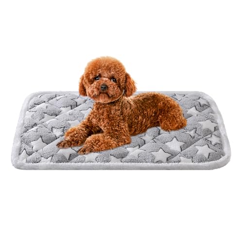 Dog Crate Mats, Soft Reversible Dog Bed Mat, Cat Mat - 24x16 Inch, Short Plush Pet Mat Crate Mat for Small Dogs, 0.6-inch Thick Thin Dog Mat, Machine Washable Ideal for 24-Inch Dog Crates - color: Grey Star, size: 24.0"L x 16.0"W x 0.6"Th