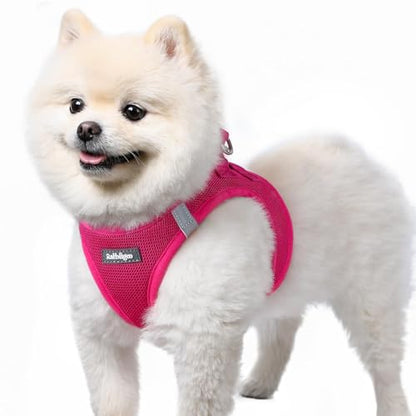 rabbitgoo Small Dog Harness, Step-in Soft Mesh Puppy Vest with Safety Buckle, Breathable Reflective Pet Harness for Small Sized Dogs, Rose Red S - color: Rose Red, size: S(chest:15.1"-16.5")