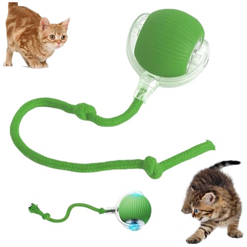 Interactive Cat Toy Balls, Interactive Cat Toys Balls for Indoor Cats 2026 New Motion Activated Cat Ball with 360° Smart Automatic Rolling Moving for Bored Kitten Pet Cats Dogs (Green, 1pcs) - color: Green, size: 1pcs