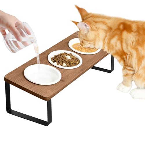 Raised Cat Food Water Bowl Elevated Tilted Kitty Dishes Set of 3 Ceramic Dish for Indoor Cats Orthopedic Pet Food Stand Reduces Vomiting 3 Bowl Cat Feeder Easy Assembly(Brown) - color: Brown