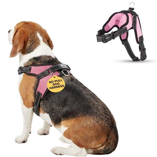 No Pull Reflective Adjustable Dog Harness With Handle- Comfortable Soft All Weather Mesh, Easy On Puppy Harness For Small Medium and Large Dogs (Pink) Medium - color: Pink, size: Medium