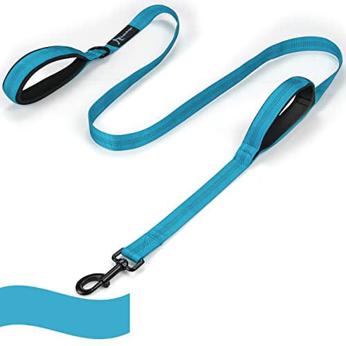 Dog Leash for Large Medium Dogs - 6 ft Reflective Stitching With 2 Traffic Padded Handles, Lead Rope for Running Walking Training (Blue 1 Pack) - color: Blue 1 Pack, size: 6 ft x 1 in
