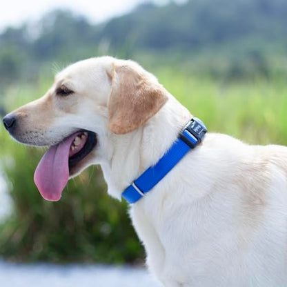 Small Dog Collar Quick-Release Blue| Heavy-Duty Nylon Puppy Collar, Adjustable & Durable Pet Supplies for Boy & Girl Dogs (Small, Bright Blue) - color: Bright Blue, size: Small