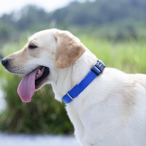 Medium Dog Collar, Blue:Heavy-Duty Quick-Release Nylon Buckle, Adjustable & Durable, Cute Dog Collar (Medium, Bright Blue) - color: Bright Blue, size: Medium
