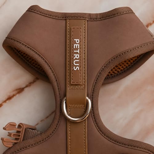 Premium No-Pull Dog Harness Soft Neoprene & Breathable Mesh Vest with Front & Back Clip D-Rings Adjustable Lightweight Walking Harness for Puppies, Small & Medium Dogs (Bronze Brown Gold, XS) - color: Bronze Brown Gold, size: XS: Neck 10.6-14.2'', Chest 1