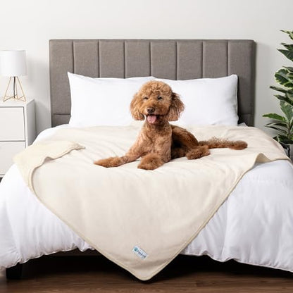PETAMI Sherpa Fleece Waterproof CAT and Dog Blanket, Beige, Queen - color: Beige, size: Queen (90x90)
