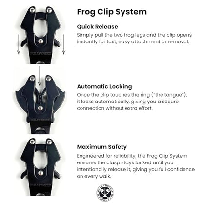 BULLYBREED | Heavy Duty Dog Leash, Tactical Dog Leash, Quick Release Frog Clip with Anti-Tangling Swivel System for Large Dogs that Pull with Soft Double Handles (5 FT Long, Maroon Red) - color: Maroon Red Double Handle
