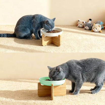 Shallow Elevated Cat Bowls with Bamboo Stand, 6.1 Inch Wide Ceramic Cat Dish Whisker Friendly, 2 Pack Pet Food and Water Plates - color: Mint green 2 pack