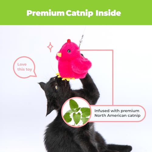 Catify Best Pet Supplies Flapping Duckling, Chick & Bird Cat Toy - Motion-Activated Wings Realistic Chirps, Catnip-Infused Plush, USB Rechargeable Indoor Cats & Kittens, Self-Play Enrichment - Fuchsia - color: Flapping Chick Fuchsia