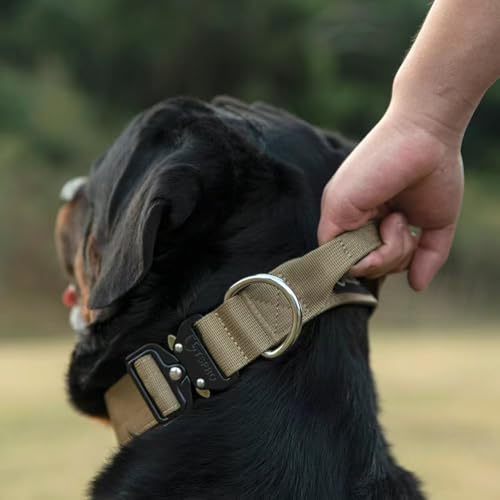 TSPRO Premium Dog Collars Tactical Dog Collar with Handle and Heavy Duty Quick-Release Metal Buckle Durable Thick and Adjustable for Medium to Large Dogs (Silver L) - color: Basic Silver, size: Handle-Equipped L (17.5"-24.5" Adjustable)