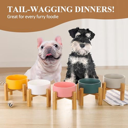 Ceramic Elevated Raised Cat Bowl with Wood Stand No Spill Pet Food Water Feeder Cats Small Dogs - color: White, size: Medium Dog Bowls 850ML*1