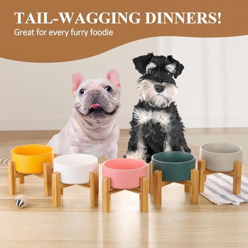 Yellow Ceramic Elevated Raised Cat Bowl with Wood Stand No Spill Pet Food Water Feeder Cats Small Dogs - color: Yellow, size: Medium Dog Bowls 850ML*1