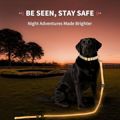Night Walking LED Dog Leash - 6FT Reflective & Waterproof Light Up Safety Leashes for Dogs - USB Rechargeable, Orange - color: Orange(Fiber optic version)